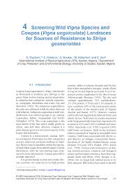 Image result for Vigna multinervis