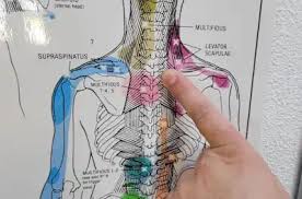 DOROTHY “DEE DEE” HEDSTROM