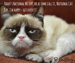 National Cat Day Grumpy Cat Meme Grumpy Cat Cat Memes