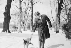 Biden included his dogs in his campaign for the presidency, playing off many of his supporters' excitement about bringing back the beloved white house tradition. Joe Biden S Dogs Shepherd In New Era Of Presidential Pets At The White House Mansion Global
