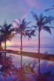 Download and use 100,000+ palm tree stock photos for free. Hey Barbie Palm Trees Tumblr Palm Trees Scenery