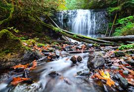 Coal Lake North Provincial Recreation Area