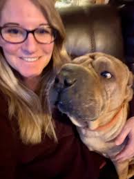 Do aussies transfer their emotions to owners?