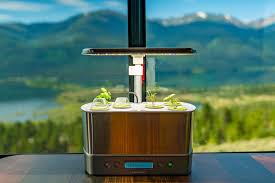 Automatically turns energy efficient led grow lights on and off. Aerogarden Harvest Elite In Our Rv Adventurous Way