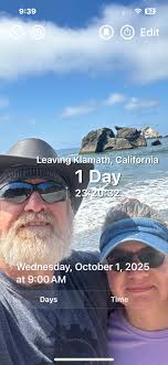 Managing a pumpkin and Christmas tree lot in Phoenix, Arizona