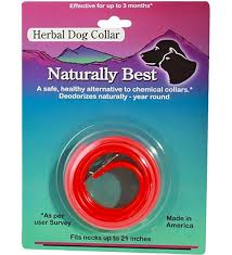 When your cat has a poor appetite and is suffering from digestive ailments caraway, nettle and dill are all herbs effective in treating stomach disorders. Herbal Flea Collar For Dogs Cats Planet Natural