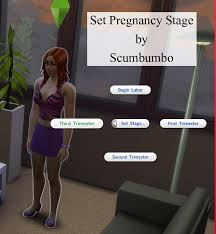 When you add this mod and reimburse the gynecologist §75, you can send your sims for an ultrasound checkup. Sims 4 Child Pregnancy Mod