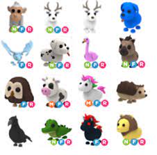 What adopt me pet are you quiz. What Adopt Me Pet Are You By Cookie