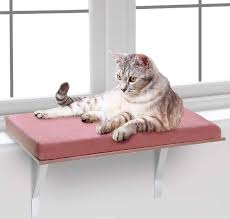 We took a peek at rover.com's list of the top cat names for 2019 , and then added some creative twists of our own to bring you these unique ideas. 500 Most Popular Female Cat Names Best Of The Best
