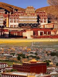 丁真帶火的理塘，到底藏著什麼秘密？｜Trip.com 理塘