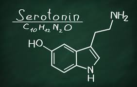 Serotonin syndrome occurs when you take medications that cause high levels of the chemical serotonin to accumulate in your body. How To Increase Serotonin Levels Naturally Fap News Today