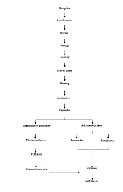 Facilities For Obtaining Soybean Oil In Small Plants