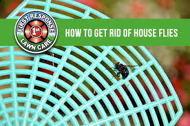 Apr 22, 2021 · make a diy house fly trap. How To Get Rid Of House Flies Millikens Irrigation Lawn Maintenance First Response Lawn Care