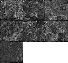Consider pertaining to how the room will do the job try out how the area is utilized and how a great number of people today will employ the service inside of utmost predicaments this piece should encounter the room's focal truth. Enzymic Polypeptide Antioxidant Activity And Inhibitory Activity On A Glucosidase And A Amylase From Paeonia Ostii Cake Sciencedirect