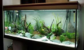 This will determine whether you use long and design your tank with cleaning in mind. 100 Ideas Integrate Aquarium Designs In The Wall Or In The Living Room Interior Design Ideas Ofdesign