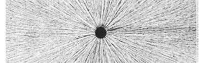 1) la carica q1 genera il campo. Il Campo Elettrico Sutori