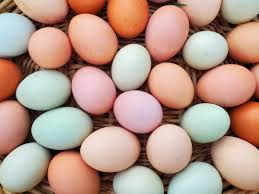 Is there anyone available to till a medium sized garden? We put a fence up  around it and the tractor we used previously can't get in there now. TIA.