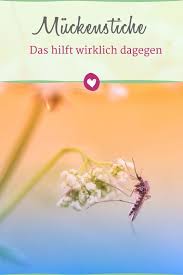 Was Hilft Gegen Muckenstiche Was Hilft Gegen Muckenstiche Muckenstich Was Tun Gegen Mucken