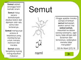 Anak gadis pada masa puber. Ppt Belajar Tentang Binatang Dan Namanya Dalam Bahasa Arab Belajar Bilangan Bertingkat Powerpoint Presentation Id 6565170