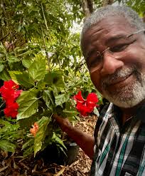 The fruits of my labor! 💗💚❤️💛 So. Florida Zone 10a