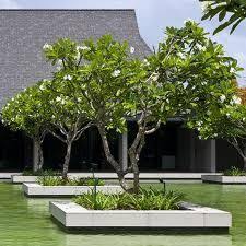 Pin On Landscape Gardening