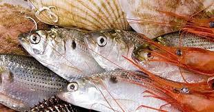 Cuisson Des Poissons Coquillages Et Crustaces Au Cookeo Cuisson Poisson Crustaces Et Produits De La Mer