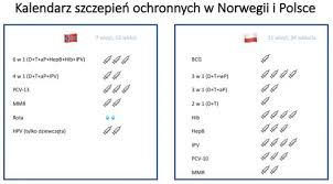 W celu zobaczenia szczegółowego kalendarza na wybrany miesiąc roku należy kliknąć w nazwę tego miesiąca. Porownanie Programu Szczepien W Norwegii I Polsce Szczepienia Info