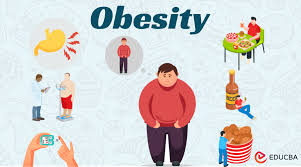 Image result for Obesity