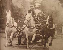 Image result for Dalmatian and the Firemen in San Francisco 1812