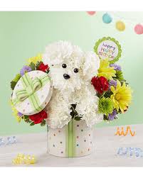 1 327 727 tykkäystä · 11 674 puhuu tästä. Los Angeles Florist Flower Delivery By 1 800 Flowers Conroys