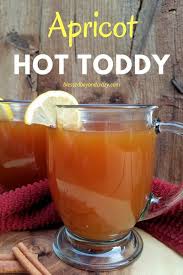 Healthy Recipes In Spanish Healthy Recipes Under 800 Calories Healthy Recipes Rice Cooker Healthy Chicken Noodle Soup Homemade Real Food Recipes Hot Toddy