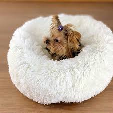 Caminha Para Cachorro Em Formato De Hot Dog Pin Em Animals