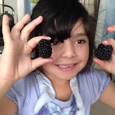 Shine Skincare & Wellness