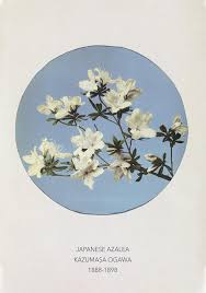 Maybe you would like to learn more about one of these? Japanese Azalea By Kazumasa Ogawa By Kuriosis In Art Prints