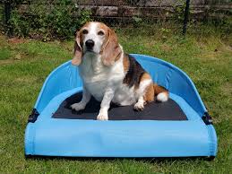 Get an email notification for any results in dogs and puppies in western cape when they become available. Best Outdoor Dog Beds In 2021