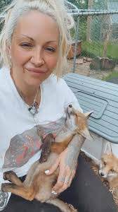 Beautiful photo of Rufus taken by @nickyjohnston 😍😍😍😍😍😍