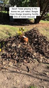 Jane Conte (@janeconte0)