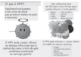 Hpv é a sigla de human papiloma virus ou vírus do papiloma humano. Cartilha Hpv E Sua Relacao Com O Cancer Paginas Iniciais Com Download Scientific Diagram