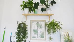 Tu terraza puede estar preciosa esta primavera y verano y, sobre todo, tus plantas y flores pueden sobrevivir al calor con. 7 Formas De Decorar Con Plantas De Interior