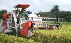 Meningkatkan hasil dari produksi pertanian. Teknologi Pertanian Di Indonesia