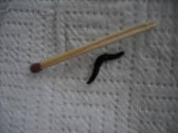 Black Worm Like Pest
