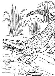 We did not find results for: Crocodile Coloring Pages To Print Crocodile Coloring Pages Coloring Pages To Print Coloring Pages For Kids