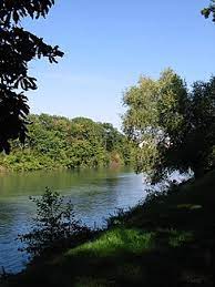 Les cancers représentent en france la première cause de décès chez l'homme et la deuxième chez la femme. Marne Fluss Wikipedia