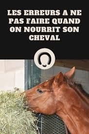 Pourquoi ne pas accorder au noble animal une place dans les grands parcs et les espaces verts à des périodes déterminées de l'année ? Les Erreurs A Ne Pas Faire Quand On Nourrit Son Cheval Cheval Faits Sur Les Chevaux Soins Des Chevaux