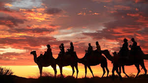 Check out webjet's latest deals, browse airfares from another experience travellers on flights to ayers rock airport may enjoy while in the red centre is reserve your spot for either a sunset or sunrise camel ride after booking your airfare to uluru and. Uluru Camel Tours Photos Facebook