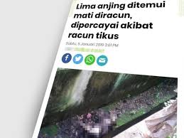 Kanun keseksaan akta , yang disebut kanun dalam. Henti Tular Gambar Anjing Mati