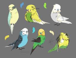 Jellie Bee Some Budgies For A Pattern Animal Art Cute Drawings Animal Drawings