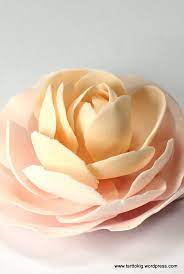 Tutorial Camellia Flower Sugar Flowers Tutorial Fondant Flowers Sugar Flowers