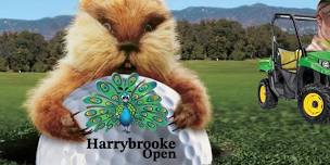 Harrybrooke Open 2026
