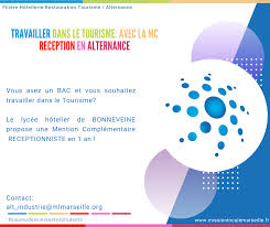 De qui dépendent les missions locales? Travailler Dans Le Tourisme En Alternance Mission Locale De Marseille